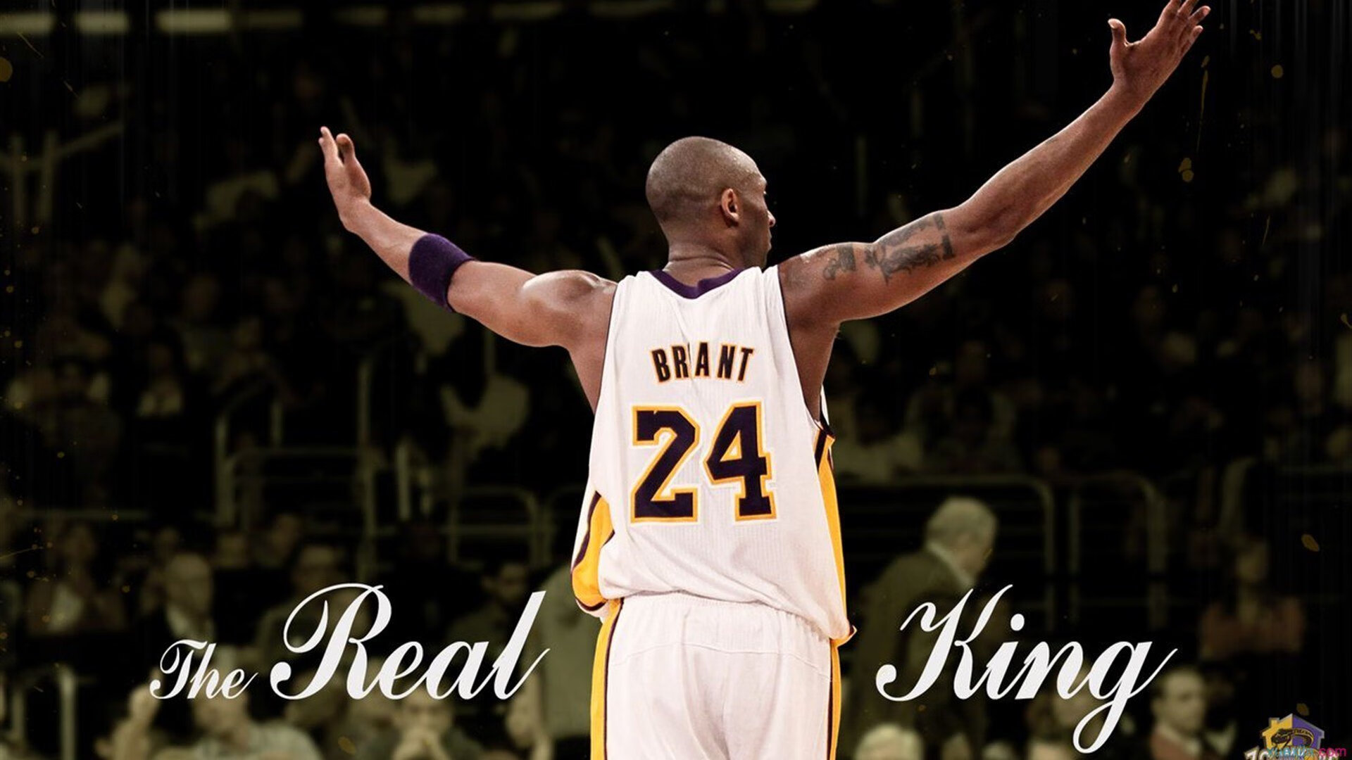 今年联盟中篮板最多的球员是谁？，联盟篮板榜